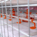 Cage / cage galvanisée pour élevage de poulets à griller